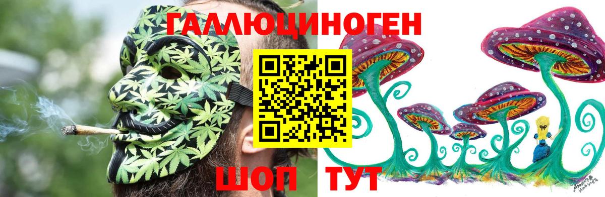 Альфа ПВП Канаш
