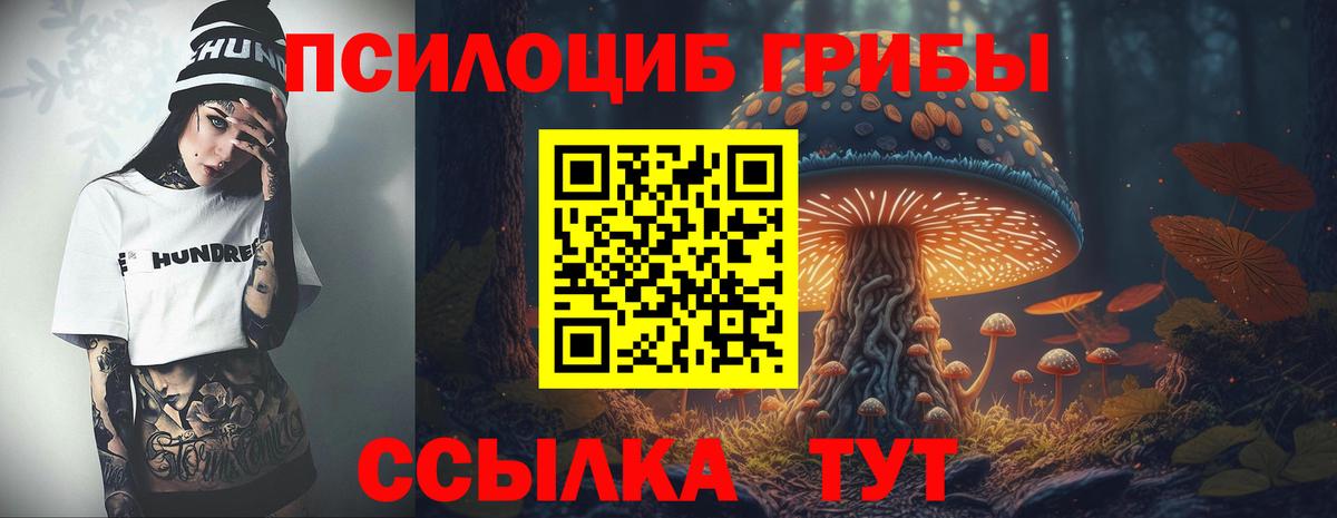 Канаш  Галлюциногенные грибы Psilocybine cubensis  Вход с VPN 